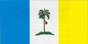 DOF Pulau Pinang Bendera Pulau Pinang